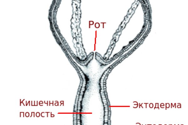 Оригинальные ссылки кракена