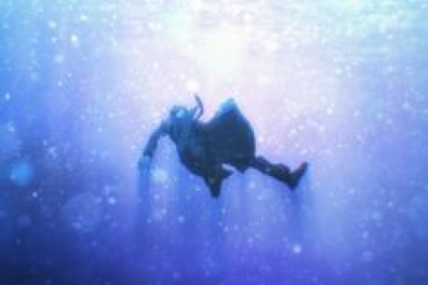 Kraken ссылка для тору