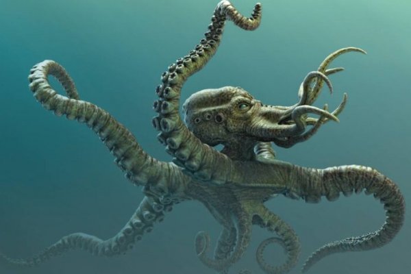Kraken onion зеркало