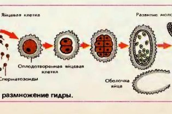 Kraken сайт зеркала krakens15 at